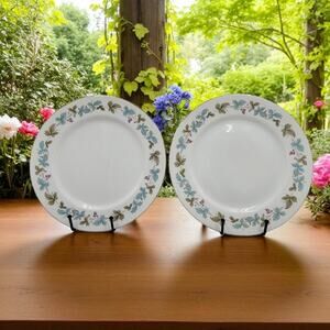 Two Vintage Fine China of Japan 6701 Dinner Plates Grapevine Silver Trim 1960s